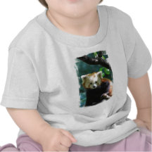 red-panda-11.jpg t-shirt