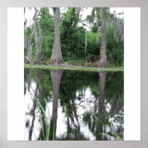 Réflexion de marais en Louisiane Posters