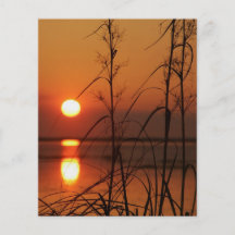 Réflexion de Sun de soirée Prospectus Avec Motif