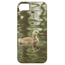 réflexion d'une oie de bébé coque iPhone 5 Case-Mate