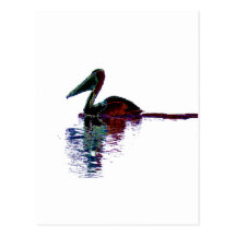 Réflexions au néon de pélican cartes postales
