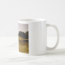 Réflexions congressionnelles tasses