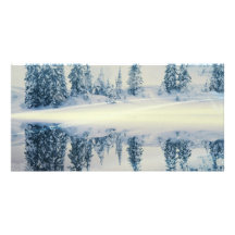 Réflexions d'arbre de neige de Lakeside Carte Avec Photo