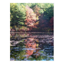 Réflexions de paysage d'automne II Carte Postale