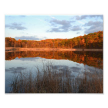 RÉFLEXIONS PHOTO.2 D'AUTOMNE