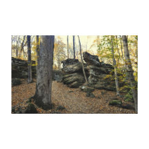 Refuge de forêt impressions sur toile