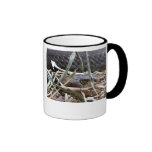 Regard fixe de cobra, le Roi cobra Mug