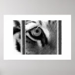 regard poster