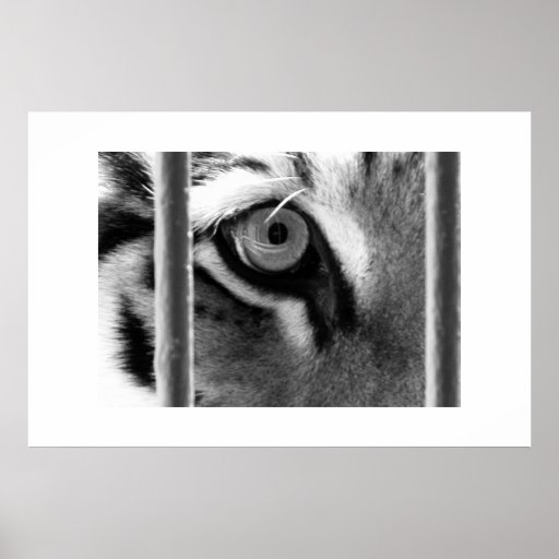 regard poster