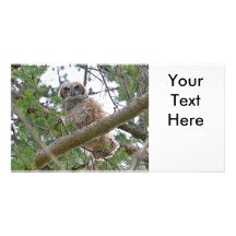 Regarder de hibou de bébé photocartes personnalisées
