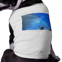 Regenboog Honden Outfit