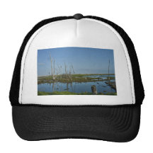 Région écologique de Bolsa Chica Casquette
