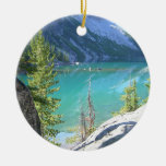 Région sauvage alpine de lacs décoration de noël