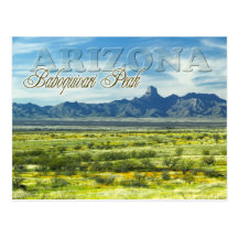 Région sauvage maximale de Baboquivari, Arizona Cartes Postales