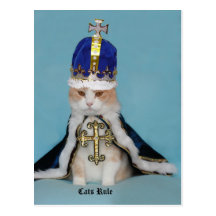 Règle de chats cartes postales