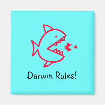 Règles de Glow_Darwin d'océan ! Magnets Pour Réfrigérateur