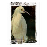 Reiger Wens Kaart