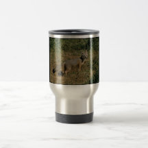 Renards de kit de San Joaquin Tasse