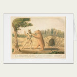 Rencontre de l'ours de Hollister (0547A) cartes