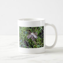 Répandent frangé tasses