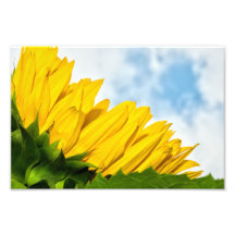 repos du soleil photographies d’art