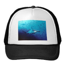 Requin de poisson-marteau casquette