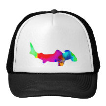 Requin de poisson-marteau casquettes