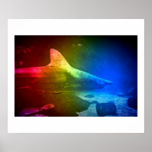 Requin en couleurs ! posters