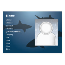 Requins - potelés modèle de carte de visite