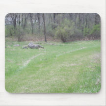 Ressort au Minnesota #7 Tapis De Souris