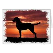 Retriever de la Baie de Chesapeake Cartes De Vœux