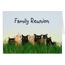 Réunion de famille de chat cartes