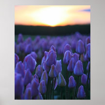 Rêver la domestique au lever de soleil posters