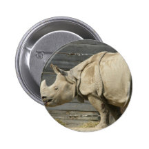 rhinocéros badges