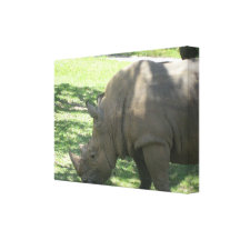 Rhinocéros sauvage toile tendue