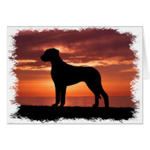 Rhodesian Ridgeback Carte De Vœux