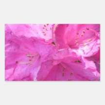 Rhododendron rose sticker en rectangle