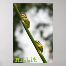 Ribbit Affiche