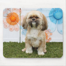 Ripley - Shih Tzu Tapis De Souris