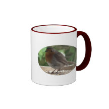 Robin Tasse
