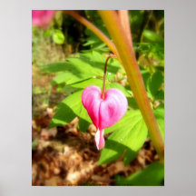 rode aftappende harten #9 posters
