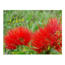 Rode bloemen Lehua in Maui Wens Kaart
