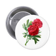 Rode die Pioenen van Natuur worden getrokken Speldbuttons