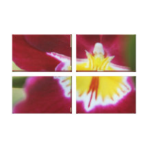 Rode en Gele Orchidee Stretched Canvas Afdruk