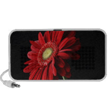 Rode Gerber Daisy Speakers