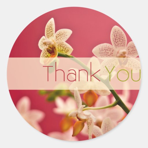 Rode Orchidee • Dank u Sticker