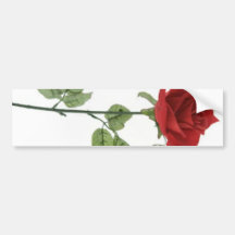 Rode Rozen Bumperstickers
