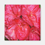 Rode & Witte Geraniums Koelkast Magneetje