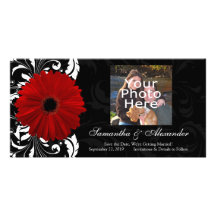 Rode, Zwart-witte Rol Gerbera Daisy Gepersonaliseerde Fotokaarten