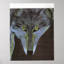 Rôdeur Posters